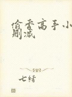 偷香高手小说无删减