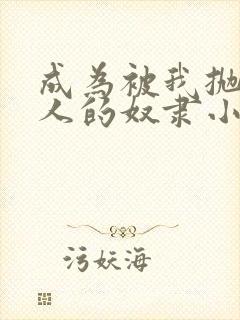 成为被我抛弃的人的奴隶小说免费阅读封面