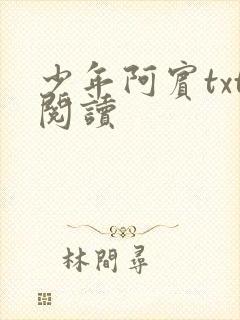 少年阿宾txt阅读