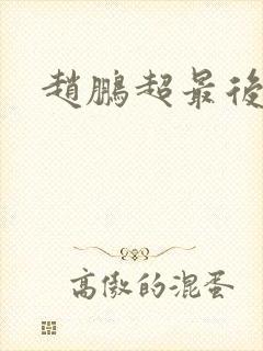 赵鹏超最后结局封面