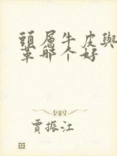 头层牛皮与牛皮革哪个好封面