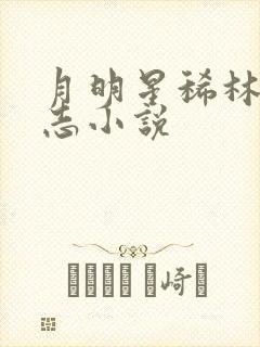 月明星稀林姨小志小说封面