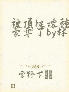 被顶级坏种强取豪夺了by林听成阅读