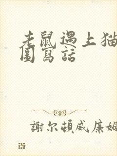 老鼠遇上猫的看图写话