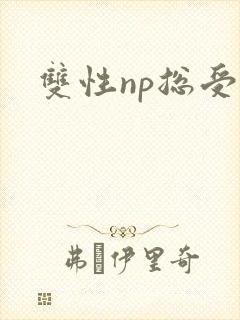 双性np总受h