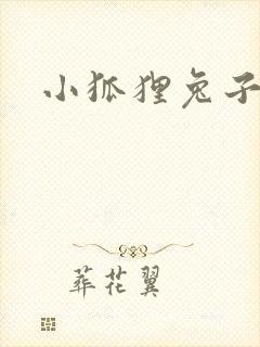 小狐狸兔子故事