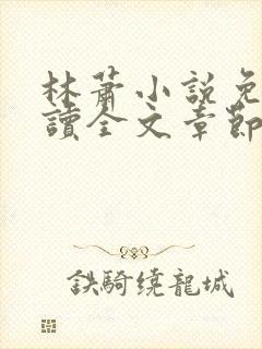 林萧小说免费阅读全文章节封面