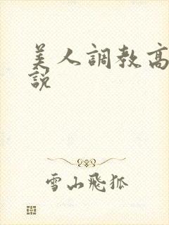 美人调教高h小说封面