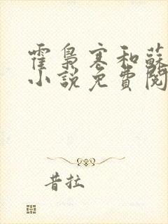 霍枭寒和苏婉的小说免费阅读全文封面