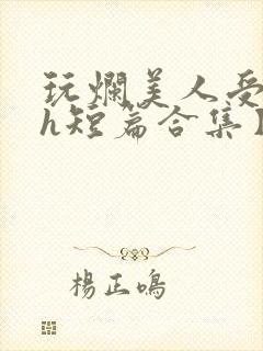 玩烂美人受【高h短篇合集】封面