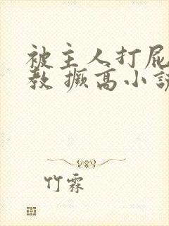 被主人打屁股调教 撅高小说封面