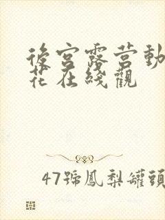 后宫露营动漫樱花在线观