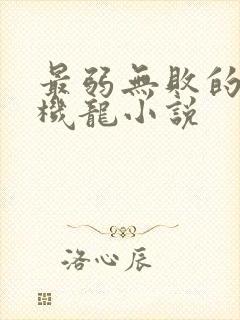 最弱无败的神装机龙小说