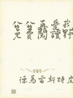 公公再爱我一次免费阅读野树小说全文