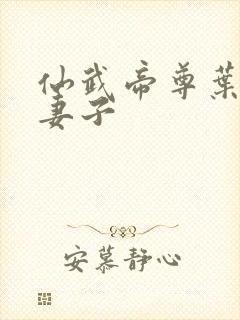 仙武帝尊叶辰的妻子