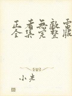 正者无敌电视剧全集完整版免费观看封面