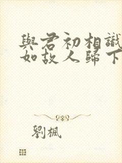 与君初相识,犹如故人归下一句