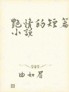 艳情的短篇合集小说