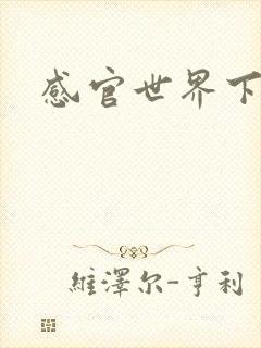 感官世界下载