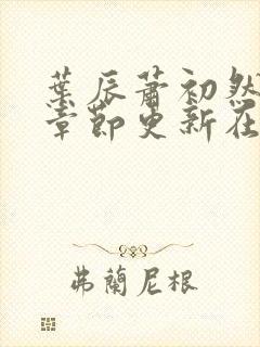 叶辰萧初然最新章节更新在线阅读封面