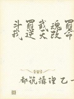 斗罗武魂罗三炮我逆天改命笔趣阁