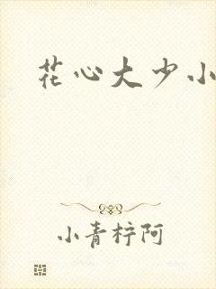 花心大少小说