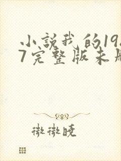 小说我的1987完整版未删减小说