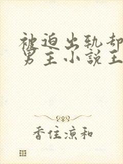 被迫出轨却上瘾男主小说王琴