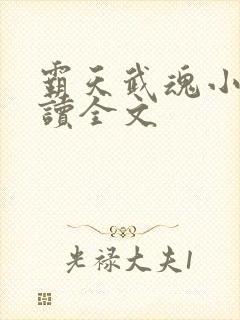 霸天武魂小说阅读全文