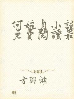 何婉月小说全文免费阅读最新章节