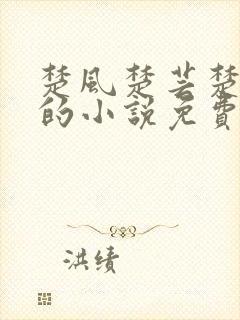 楚风楚芸楚鸿飞的小说免费阅读