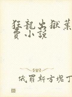 狂龙出狱叶风免费小说