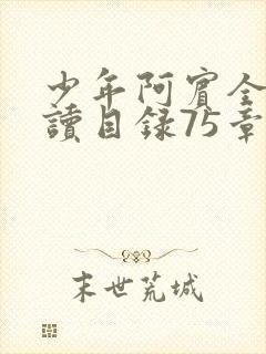 少年阿宾全文阅读目录75章笔趣阁