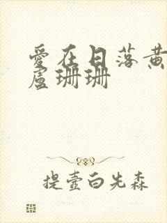 爱在日落黄昏时卢珊珊