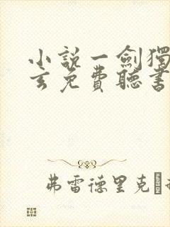 小说一剑独尊叶玄免费听书