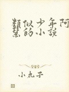 类似少年阿宾钰慧的小说