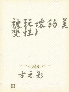 被玩坏的美人(双性)封面