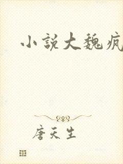 小说大魏疯王
