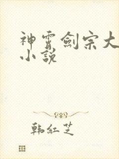 神霄剑宗大师兄小说