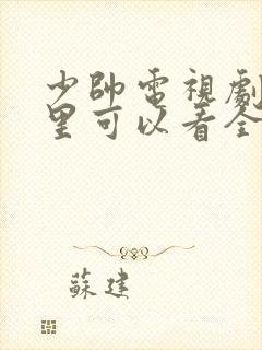 少帅电视剧在哪里可以看全集完整版封面