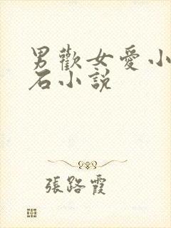 男欢女爱小说久石小说封面