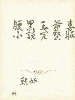 腹黑王爷喜当爹小说完整版大结局封面