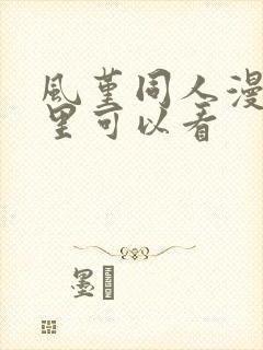 风堇同人漫画哪里可以看