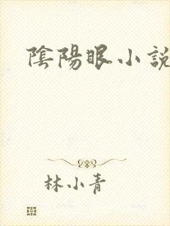阴阳眼小说