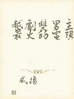 越剧双男主推荐最火的电视剧