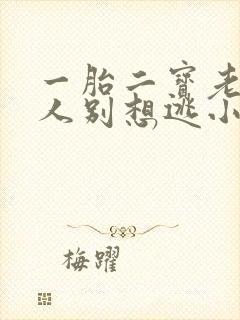 一胎二宝老婆大人别想逃小说