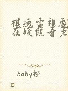 棋魂电视剧全集在线观看免费播放