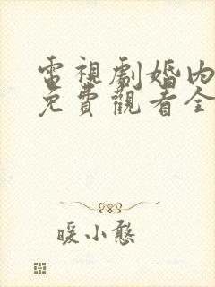 电视剧婚内婚外免费观看全集高清版