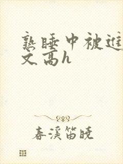 熟睡中被进了h文高h