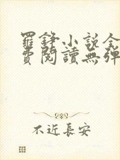 罗铮小说全文免费阅读无弹窗